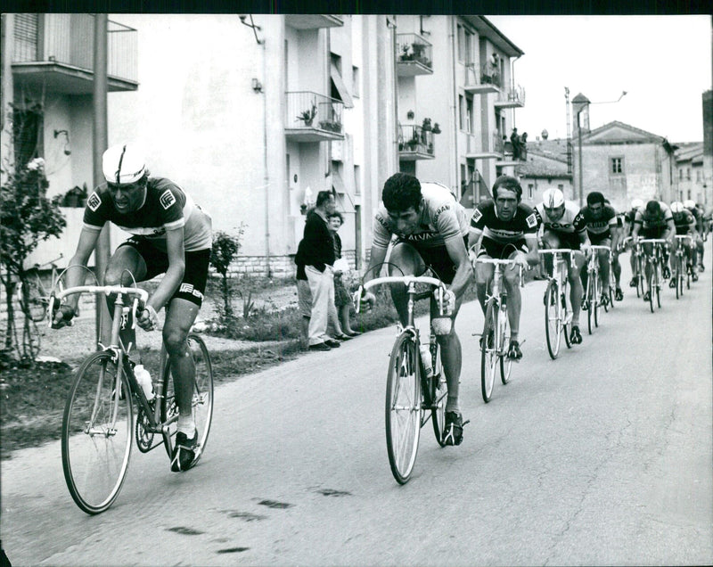 Gosta Gimondi, Lioli, and Ght Pettersson Boifava at the 54th Giro d'Italia - Vintage Photograph