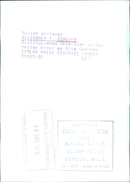 Distinguished Ukrainian writer, Oles Goncher - Vintage Photograph