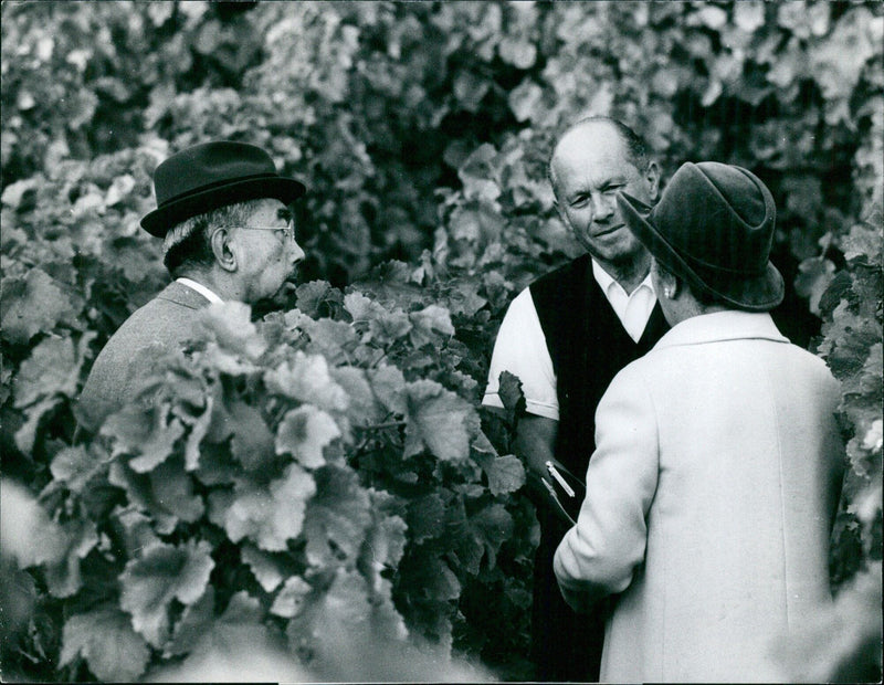 Japanese Imperial Couple Visits Vineyards near Lausanne - Vintage Photograph