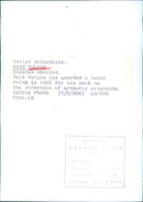 Soviet Scientists: MARK VOLPIN - Vintage Photograph