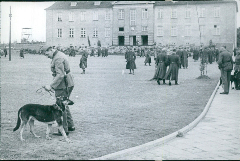 Polish prisoners in Germany - Vintage Photograph