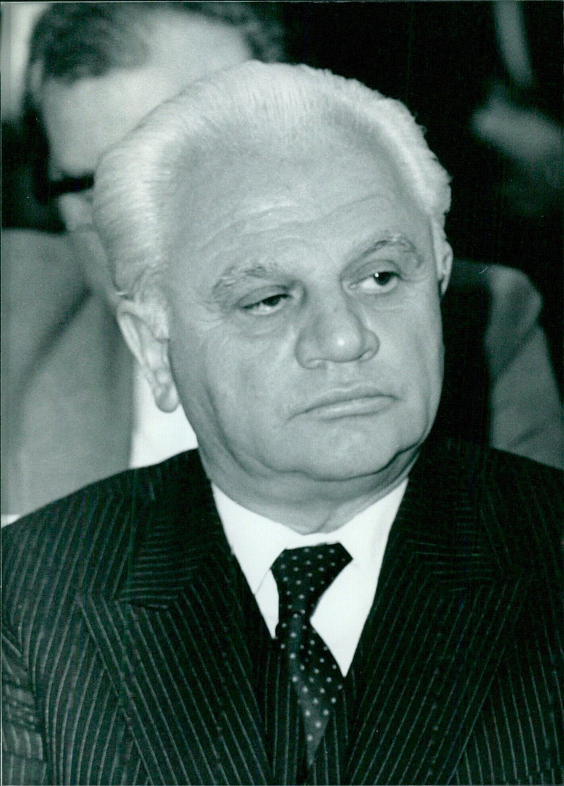 Yugoslav Politician Radovan Vlajkovic - Vintage Photograph