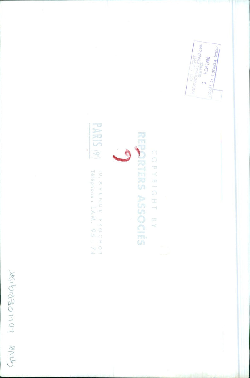 Gina Lollobrigida - Vintage Photograph