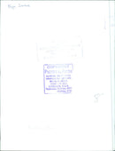 National Art Gallery and Dominion Museum in New Zealand - Vintage Photograph