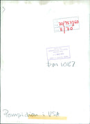 Pompicion in the USA - Vintage Photograph