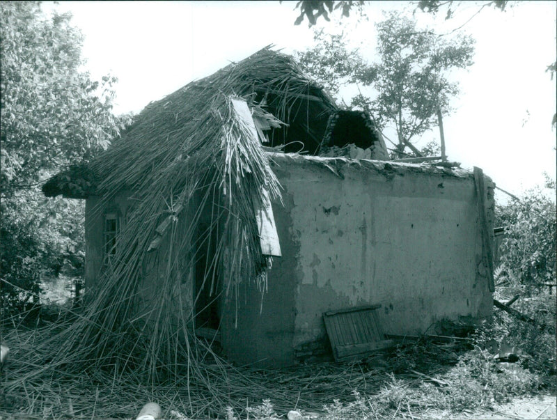 Shot-up house in the village of Cosnita - Vintage Photograph