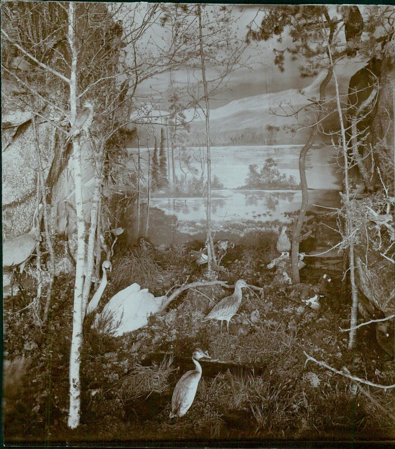 Mysterious sculpture in the park - Vintage Photograph