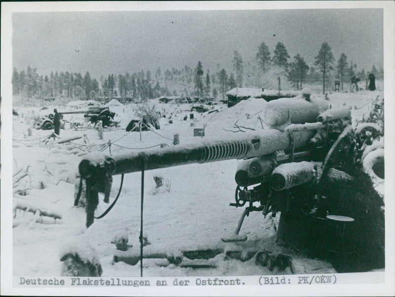 German anti-aircraft positions on the Eastern Front - Vintage Photograph