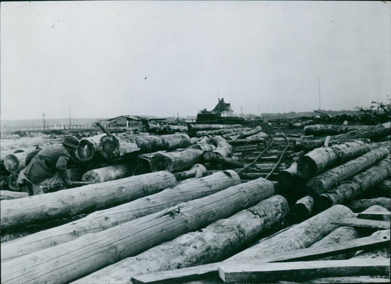 Approaching the enemy position - Vintage Photograph