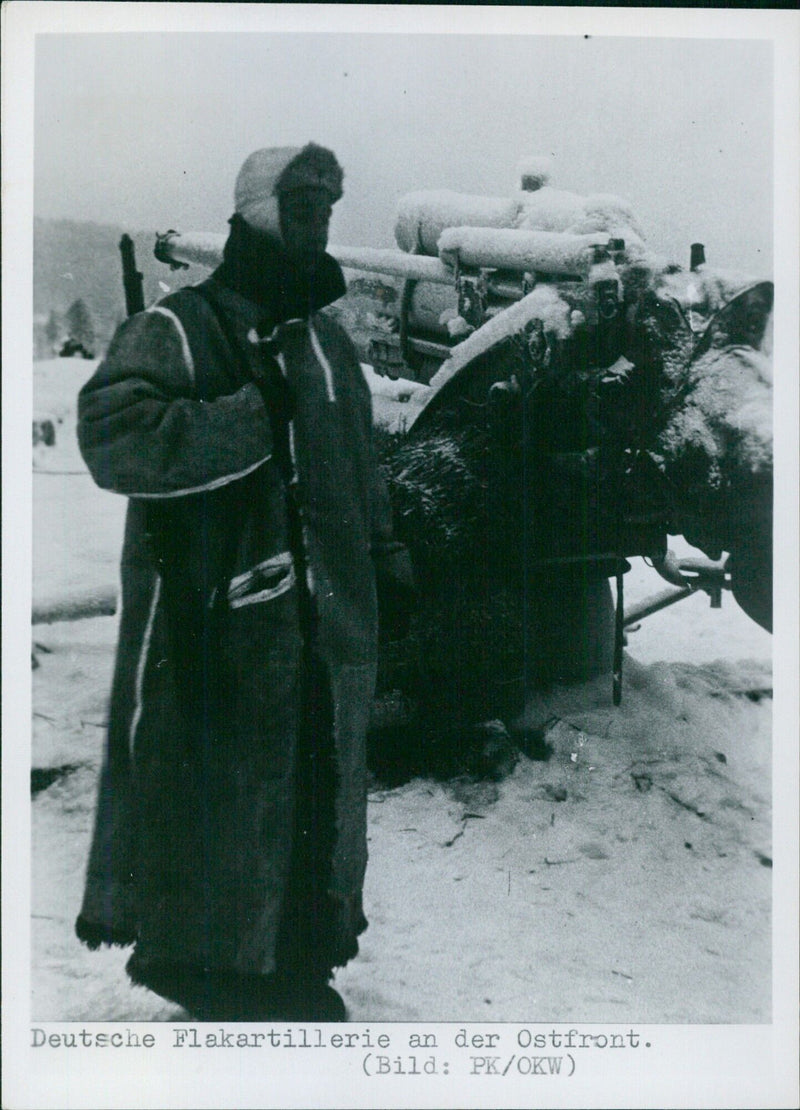 German Anti-Aircraft Artillery on the Eastern Front - Vintage Photograph