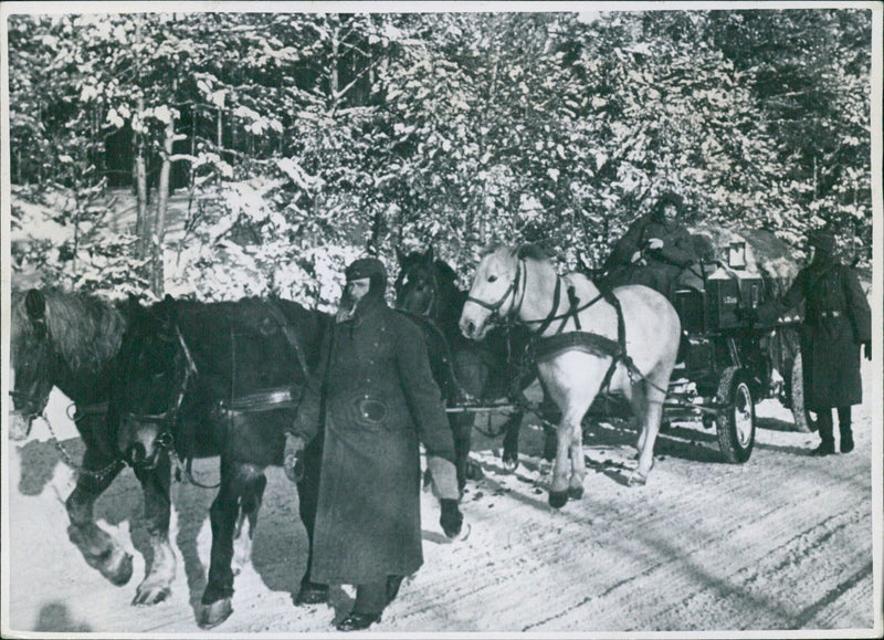 A wagon of an ammunition supply column advancing through the winter forest - Vintage Photograph