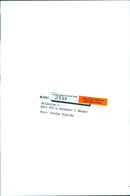 Karl XII's monument in Bender - Vintage Photograph