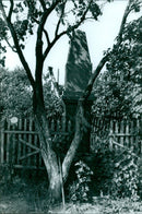 Karl XII's monument in Bender - Vintage Photograph