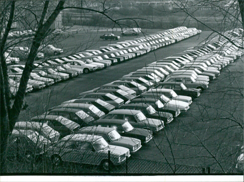Unsold Leyland cars at company's compound - Vintage Photograph