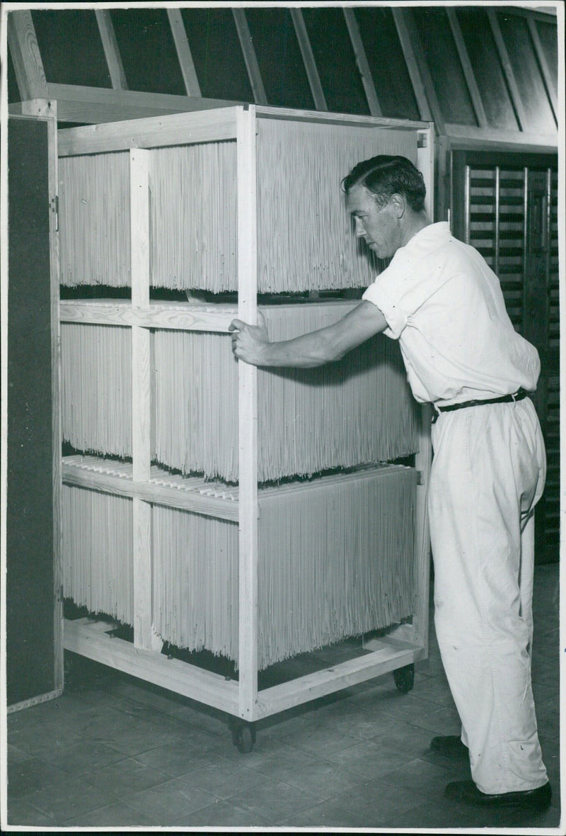 Spaghetti is hung up for drying - Vintage Photograph