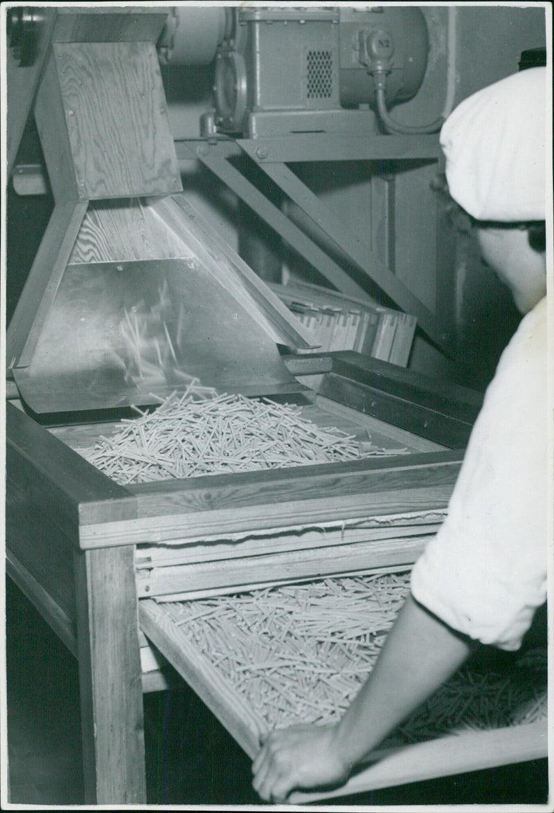 Food factory with freshly baked macaroni - Vintage Photograph