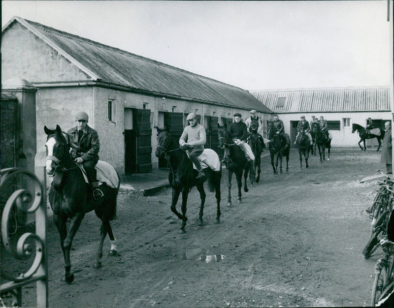 Paddy Prendergast's spring horse training - Vintage Photograph