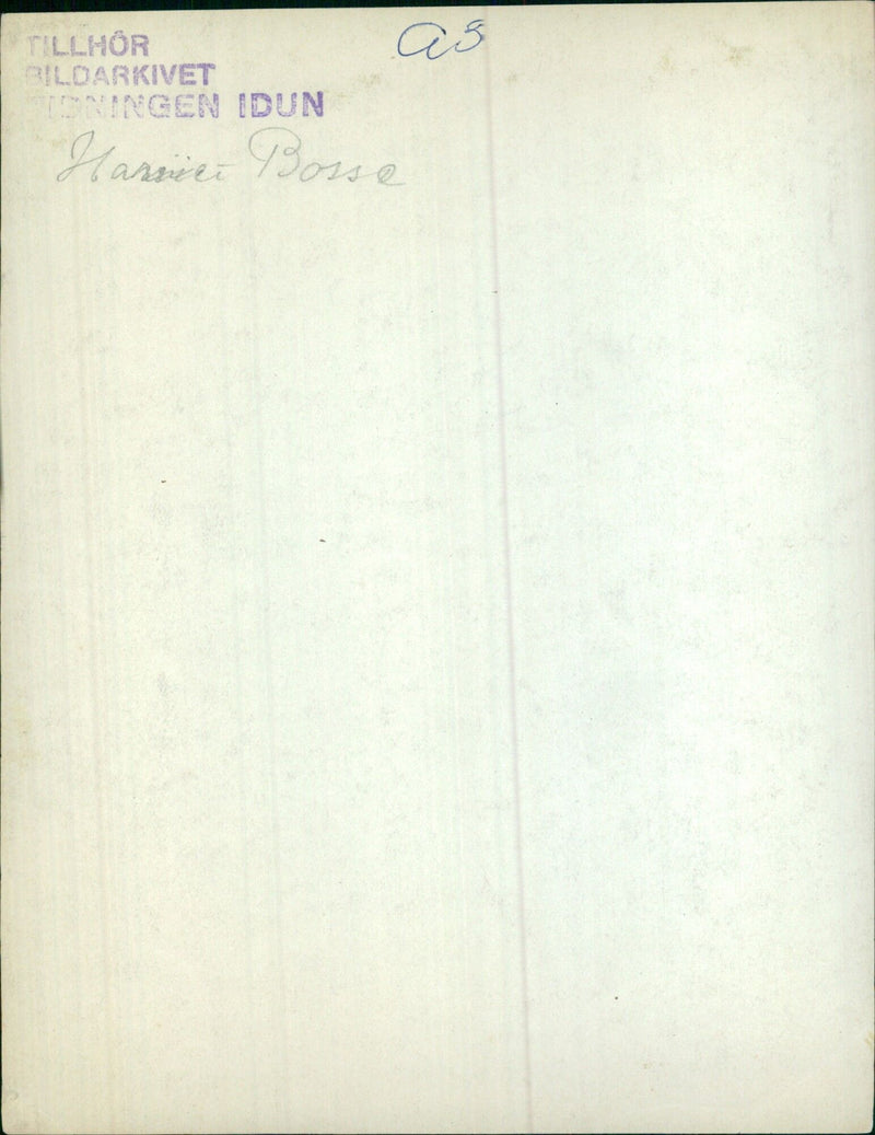 Harvie Bosse who belongs to the Image Archive of the magazine Idun in 1922 - Vintage Photograph