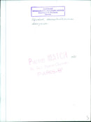 Bluebell in Stockholm, Sweden - Vintage Photograph