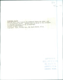 Dancing at the Tombstone Saloon - Vintage Photograph