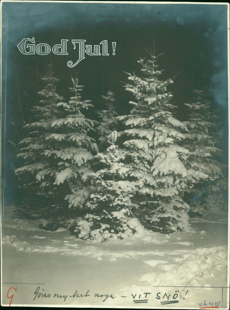 Merry Christmas! WHITE SNOW! WIND G. - Vintage Photograph