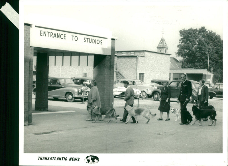 Entrance to Studios TT Transatlantic News - Vintage Photograph