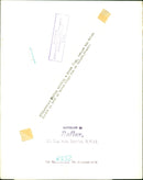 Prince Philip holding a Greek flag - Vintage Photograph