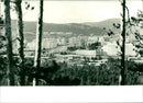 A view of the new city of Tynda - Vintage Photograph