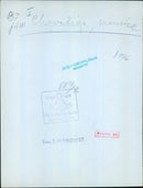 GEBRÜDER BRUDER WALDKIRCHLB from Chevalier, manice BJ I film 1946 - Vintage Photograph