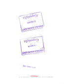 Ann Charters, pianist / writer - Vintage Photograph