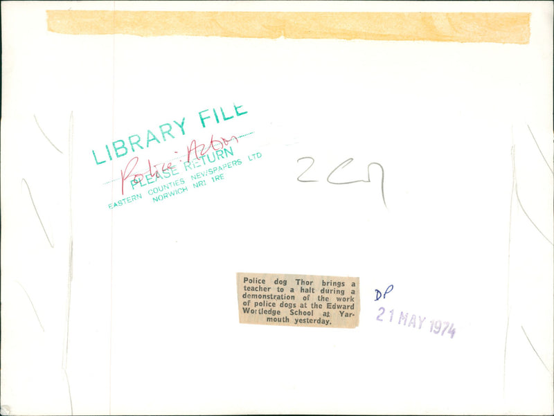 Police dog - Vintage Photograph