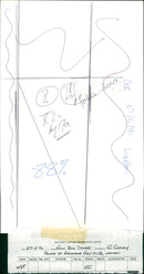 Golf ball Divers - Vintage Photograph