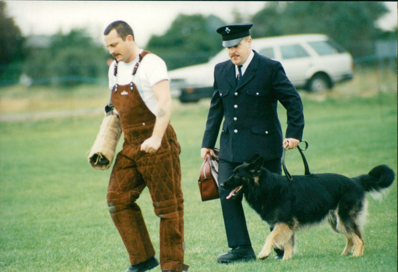 Police Dog 'Ben' with handler - Vintage Photograph