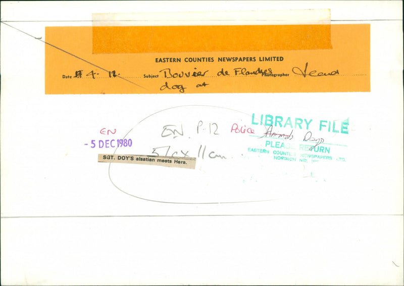 Police Dogs meeting - Vintage Photograph