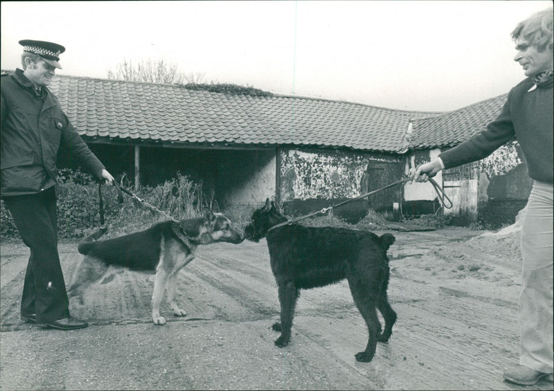 Police Dogs meeting - Vintage Photograph