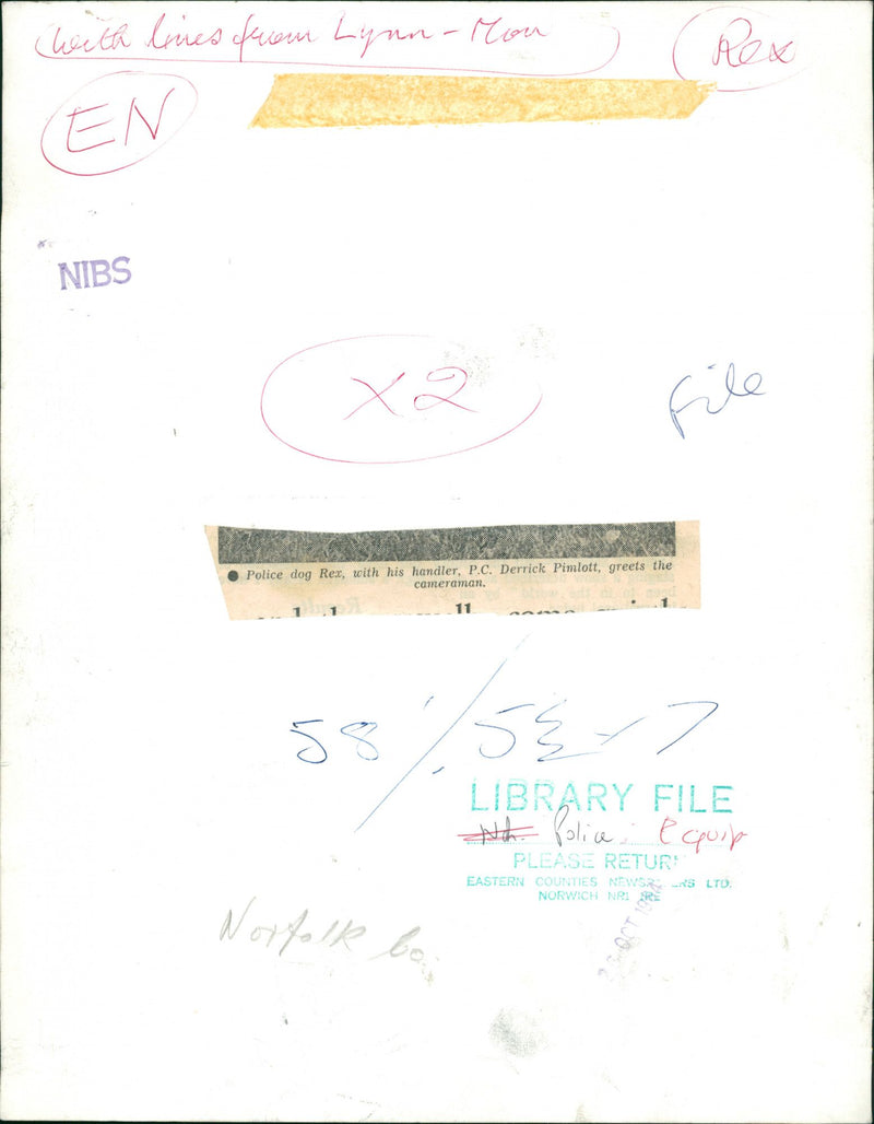 Police dog Rex - Vintage Photograph