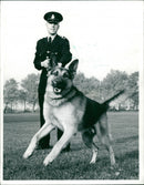 Police dog Rex - Vintage Photograph