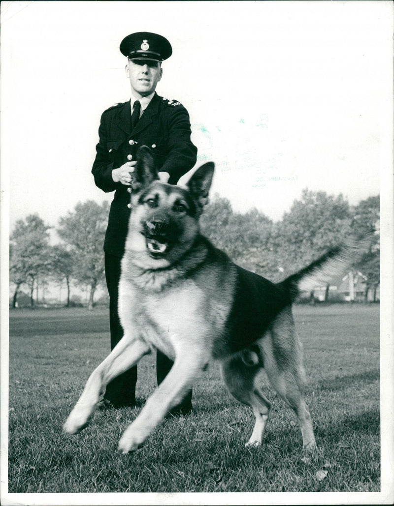 Police dog Rex - Vintage Photograph