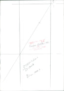 Princess Diana - Vintage Photograph