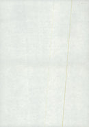 Expeditions - Vintage Photograph