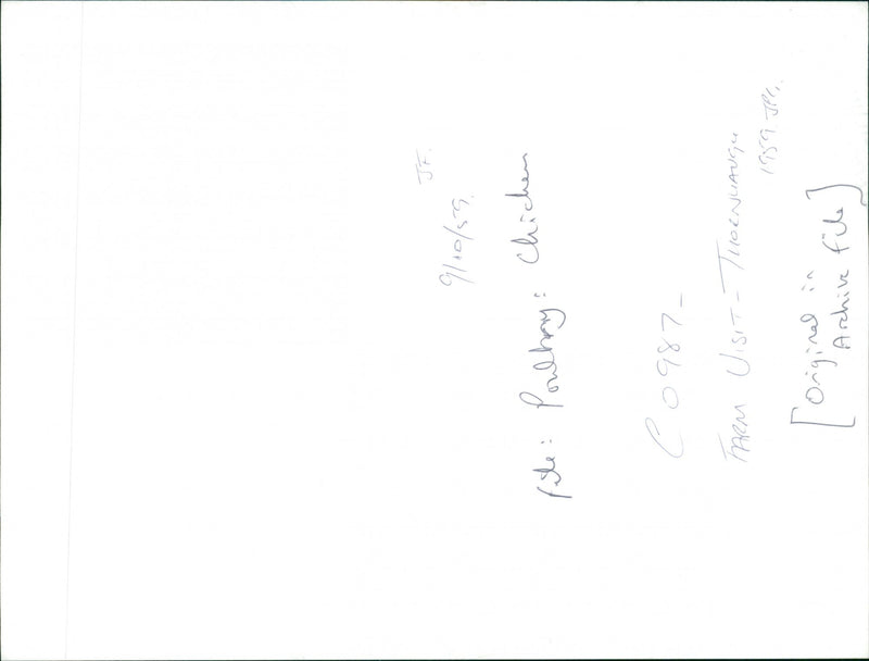 Poultry Chickens and Eggs - Vintage Photograph