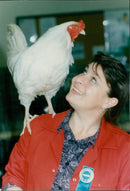 Poultry - Vintage Photograph