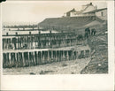 Hunstanton Sea defence - Vintage Photograph