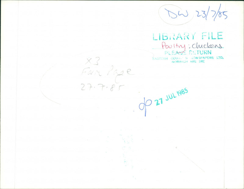 Poultry Eggs - Vintage Photograph