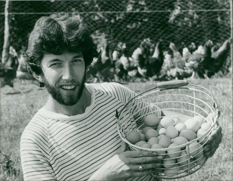 Poultry Eggs - Vintage Photograph