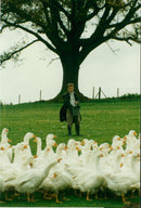 Poultry - Vintage Photograph