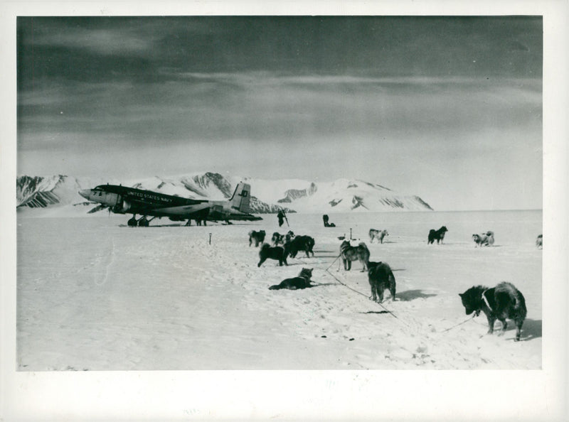 Antarctica Expeditions - Vintage Photograph