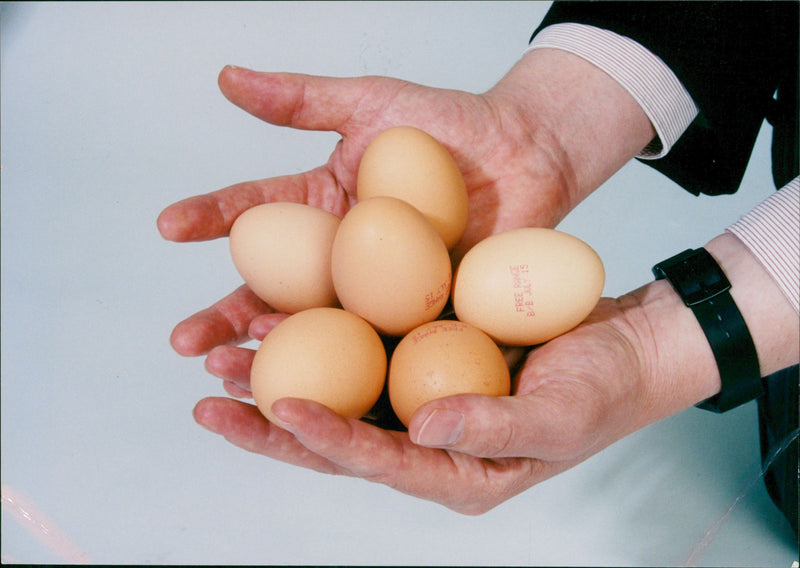 Poultry Eggs - Vintage Photograph