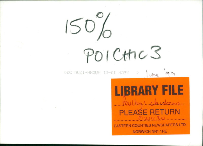 Poultry Eggs - Vintage Photograph