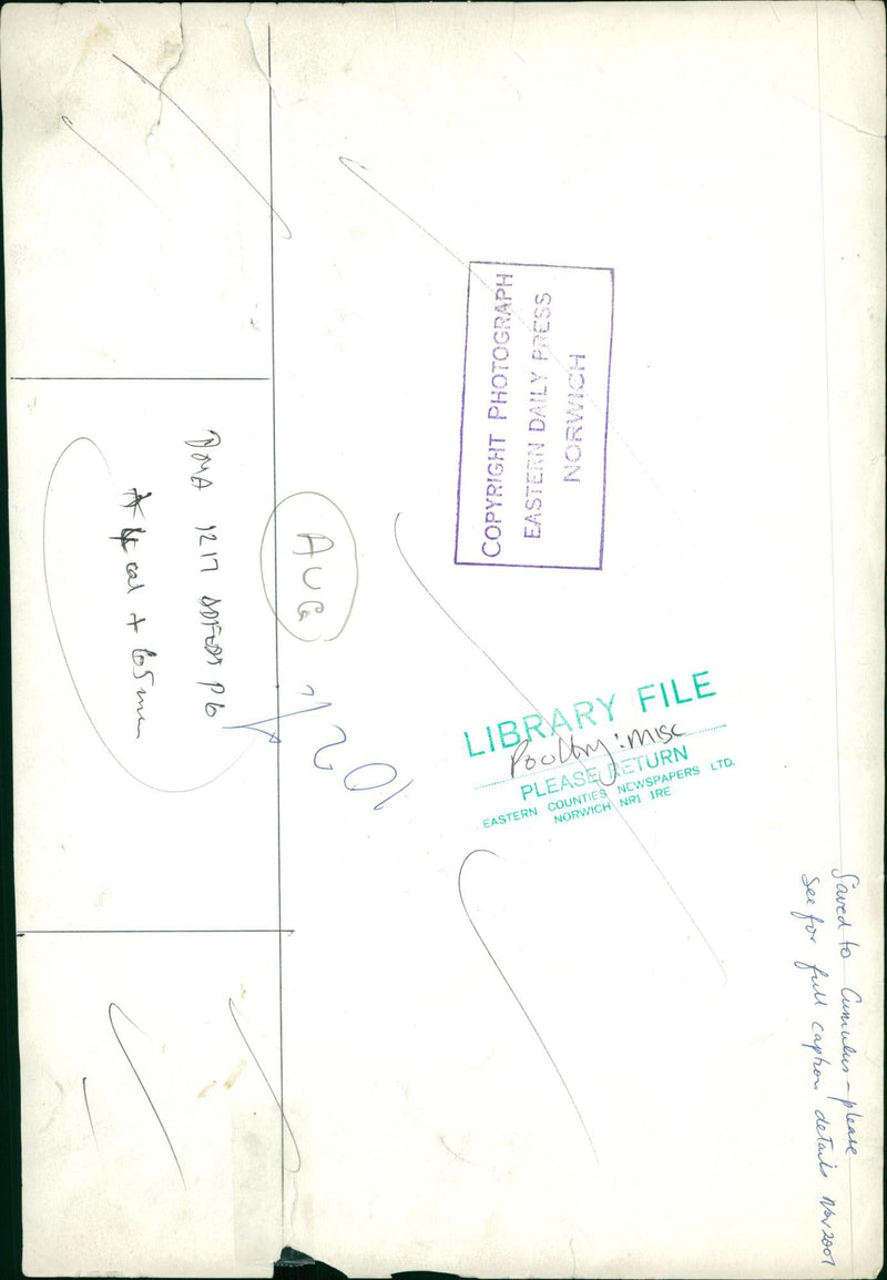 Poultry - Vintage Photograph